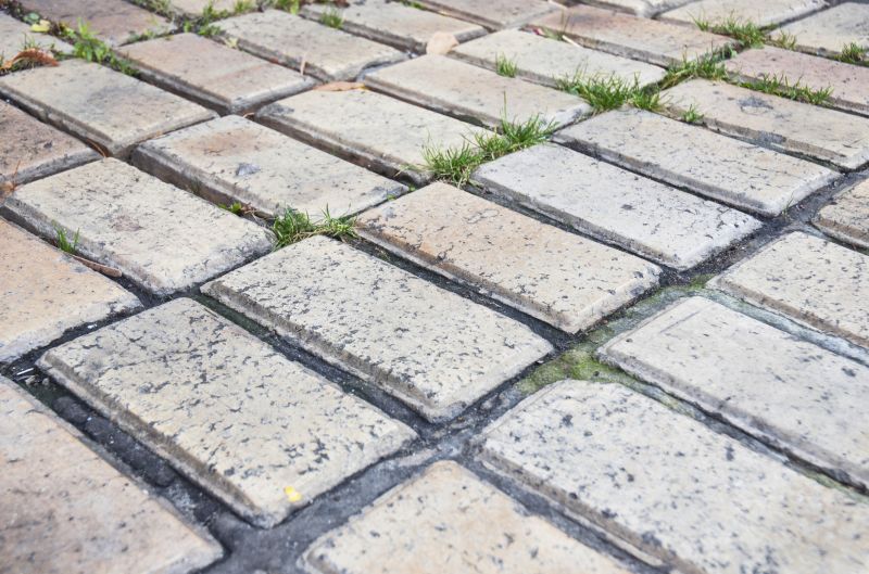 Brick Flatwork Repair in South Lyon, MI