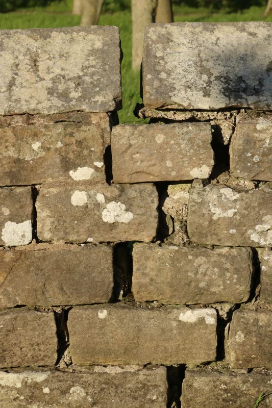 Stone Wall Repair in Clarkston, MI